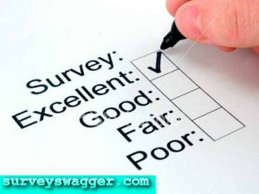 Earn Money On the Web with Paid Surveys
