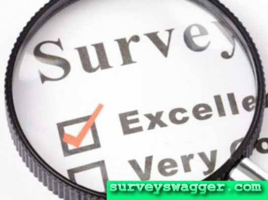 Earn Money Online with Paid Surveys