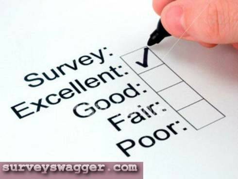Earn Money Online with Paid Surveys