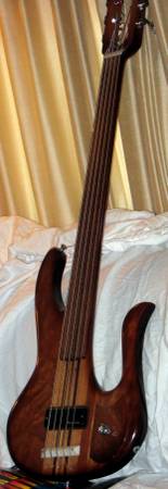 Electric 5 string fretless bass