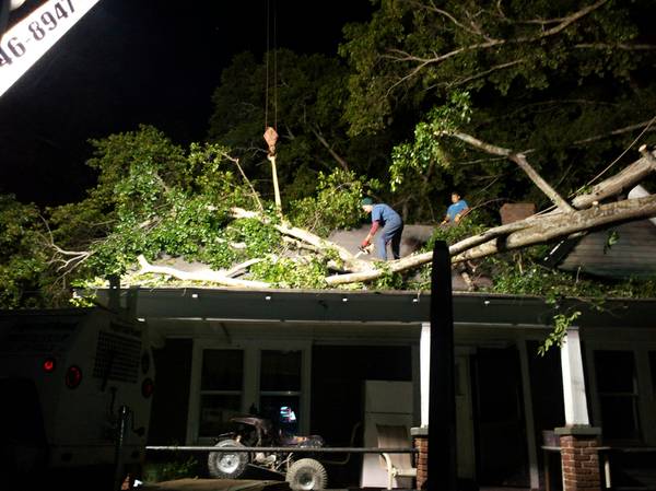 Emergency Tree Removal 247 (All Maui)