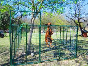 Enclosure Dog Kennels for sale (174 hwy)