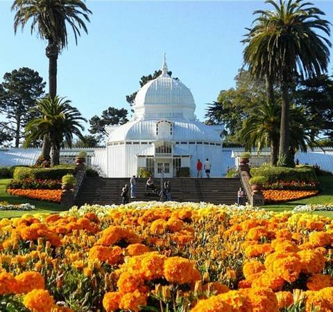 Event Staff at the Conservatory of Flowers (Golden Gate Park)