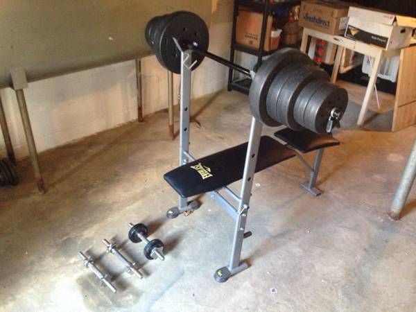 Everlast Weight Bench and Dumbbells