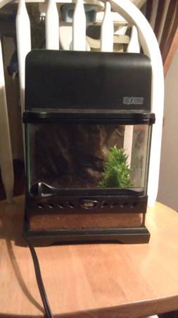 exo terra terrarium (madison)