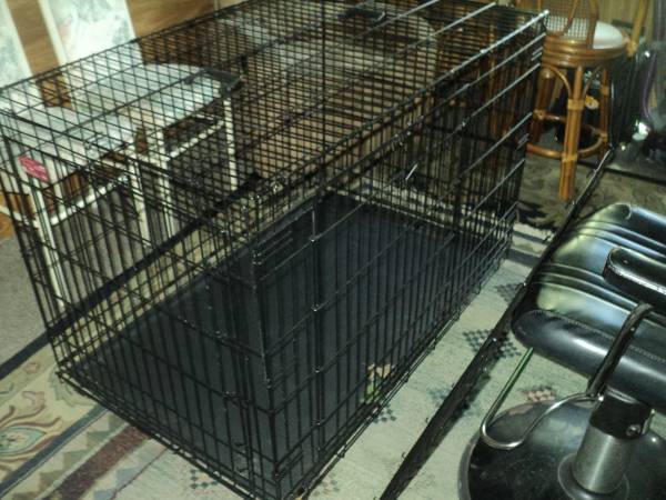 extra large dog cagekennel with plastic tray on bottom