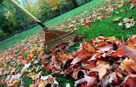 Fall Leaf Clean Up (Kansas City)