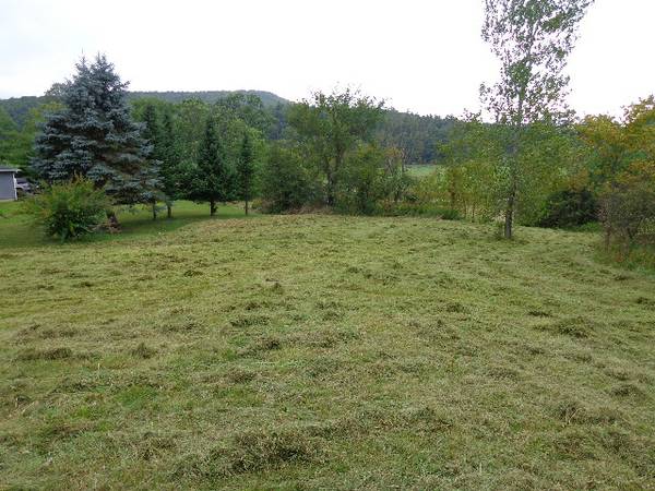 FIELD CLEARING ROTOTILLING BRUSH HOGGING FLAIL MOWING (CHITTENDEN AND ADDISON COUNTY)