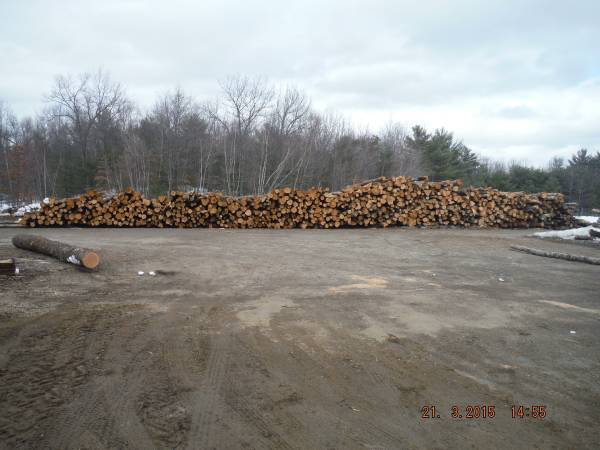Firewood full or half cords