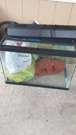 fish tank 50 (beaverton)