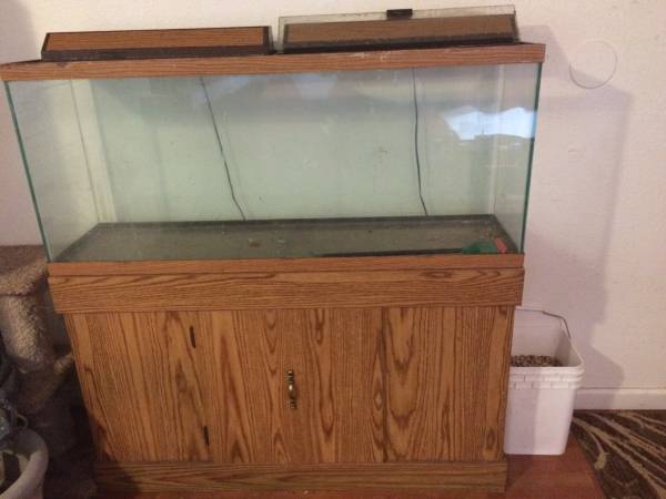 Fish tank aquarium