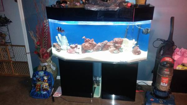 fish tank (lorain)