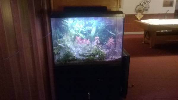 fish tank stand (milwaukee)