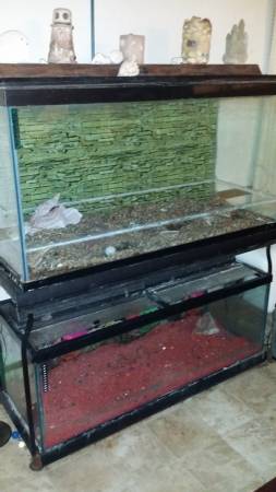 fish tanks (flat rock)