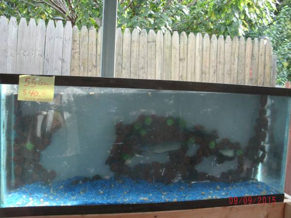FISH TANKS FOR SALE VERY REASONABLE PRICES (Omaha)
