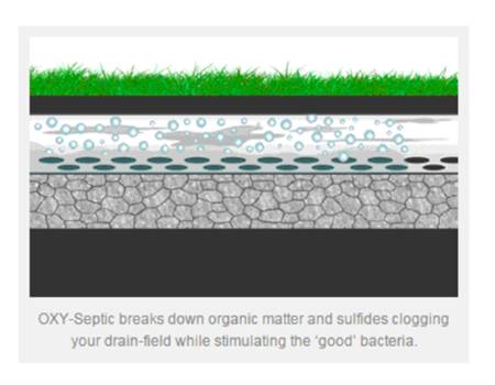 Fix Septic System Drain Field Problems