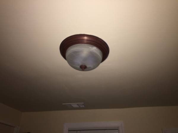 Flushmount Ceiling Light Fixtures (2) Bronze