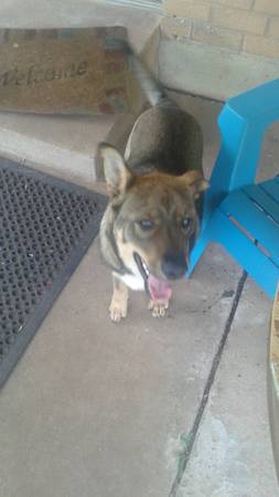 FOUND SHEPPARD MIX 973497349734 (MOORE)