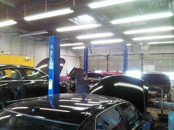 Free car problem diagnosis PLUS amazing specials (Livonia)