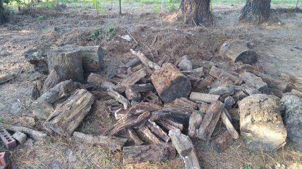 Free Firewood for making mulch only (Baldwin Area)