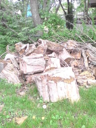 Free firewood for the taking (Liberty mo)