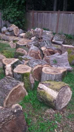 FREE FIREWOOD (Kirkland)