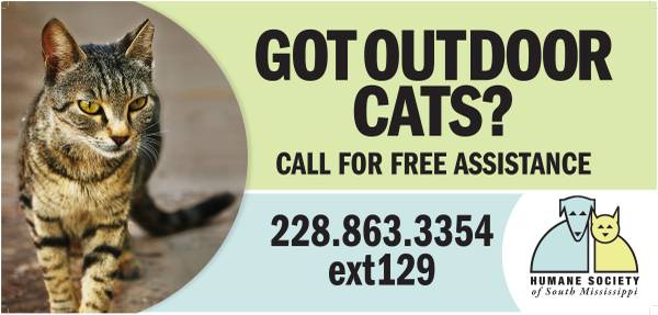 FREE Outdoor Cat SpayNeuter (Humane Society of South Mississippi)