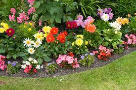 FREE QUOTES ON LANDSCAPING (Billerica, Andover, Methuen, Haverhill,)