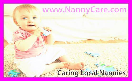 Free Search for Excellent Nannies In Your Area (Excellent Nannies)