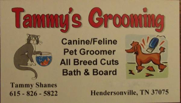 FULL SERVICE GROOMING,AND BOARDING IN HENDERSONVILLE, (HENDERSONVILLE)