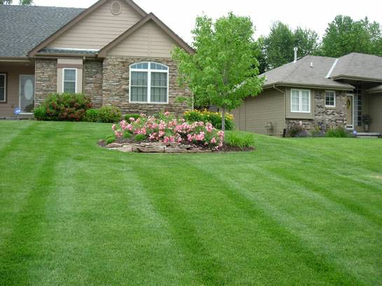 Full Service Lawn Care and Landscaping (Treasure Valley)