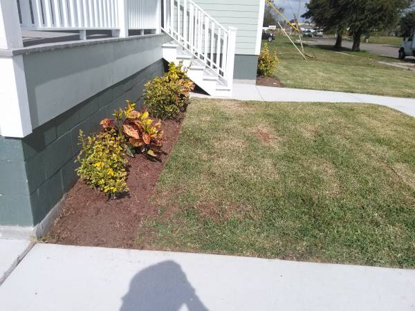 garden cleen up and lawn care (metairie new orleans chalmette lakeview)