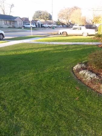 BEST PRICE LAWN MAINTENANCE (n.o.surrounding areas)
