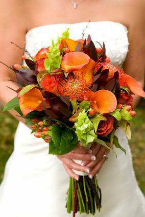 Get Married Only 50 Wedding Officiant (oregon city)