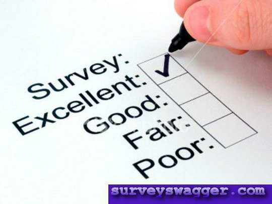 Get Paid by Answering Some Easy Surveys On Line