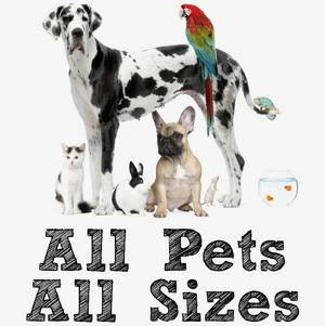 Going on vacation Need extra help Pet sitting in your home (Seacoast)