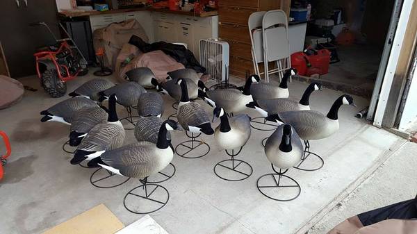 Goose Decoys For Sale