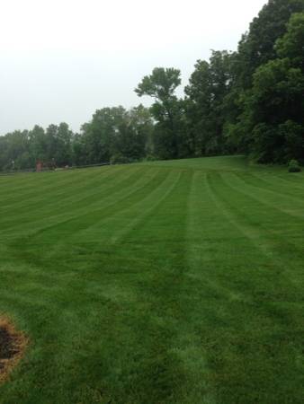 Grass cutting (Princeton, Lawrenceville , pennington, Hamilton etc)