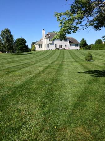 Grass cutting (Princeton, Lawrenceville , pennington, Hamilton etc)