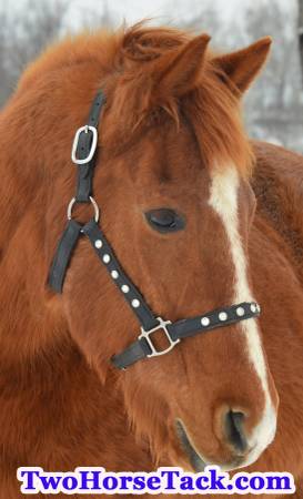 Great deals on quality horse tack