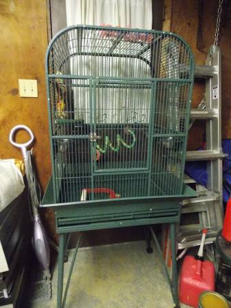 Green Parrot Bird Cage  175 (South West Indianapolis)