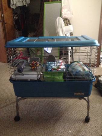 Guinea Pig cage and all supplies