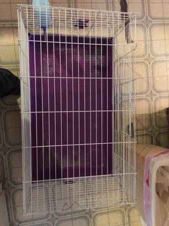 Guinea pig cage for sale (Hudson nh)