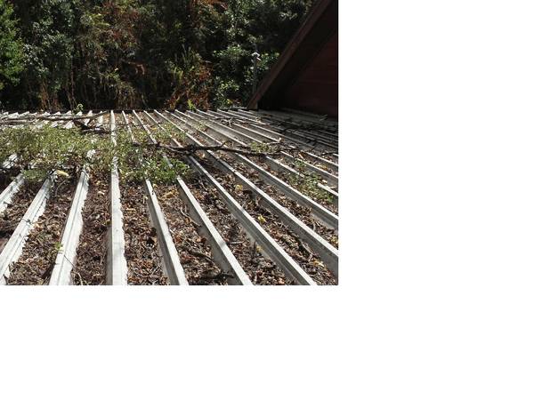 Gutter and Carport Cleaning (Columbus)