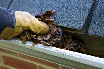 Gutter Cleaning (Cincinnati, oh)