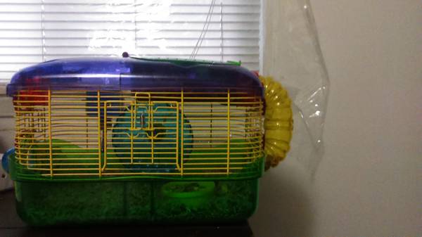 Hamster with Cage bundle (Dearborn Heights)