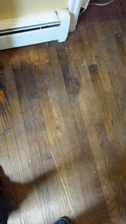 hardwood floorstair case repair recoatting and refinishing