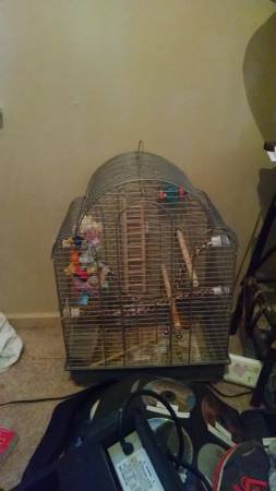 Have Large  Bowls also two bird cage with toys (Bellevue)