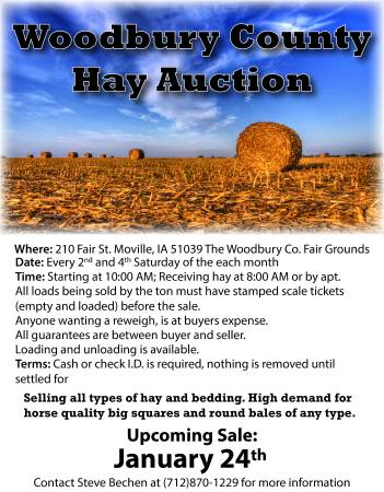 Hay for Sale (Moville, IA)