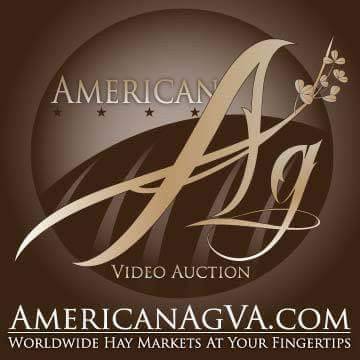 HAY MARKETING AND SALES. Live, Online, Video, Auctions. (MT)